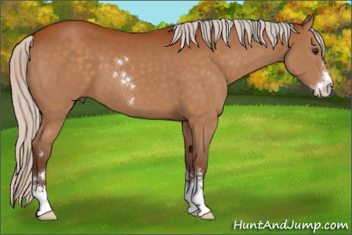Horse Color:Silver Buckskin Sabino