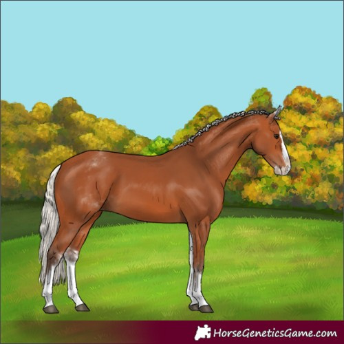 Horse Color:White Spotted Silver Bay Splash 