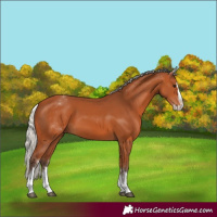 Horse Color:White Spotted Silver Bay Splash 