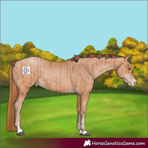 Horse Color:Bay Pearl  and Bay Pearl 