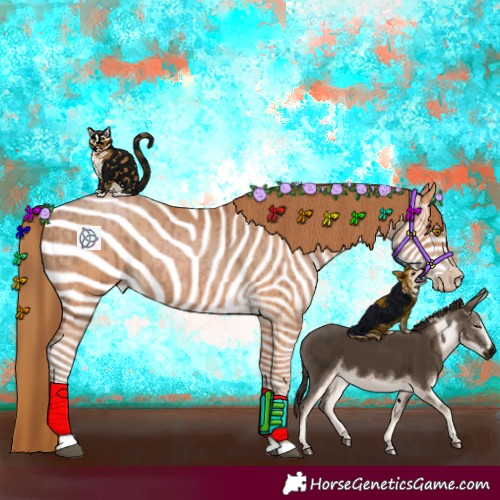 Horse Color:Bay Pearl  and Bay Pearl 
