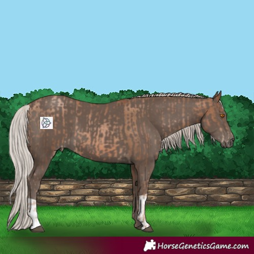 Horse Color:Silver Black Pearl  and Silver Black 