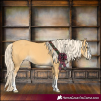 Horse Color:Palomino 