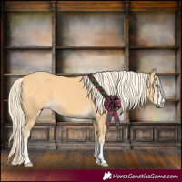 Horse Color:Palomino 