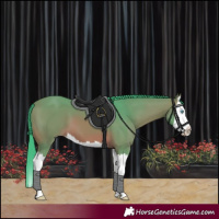 Horse Color:Watercolor Bay Splash