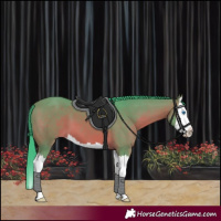 Horse Color:Watercolor Bay Splash 