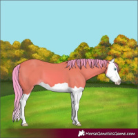 Horse Color:Watercolor Bay Splash