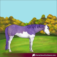 Horse Color:Watercolor Brown Splash 