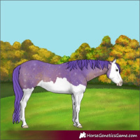 Horse Color:Watercolor Brown Splash
