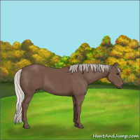 Horse Color:Silver Black 