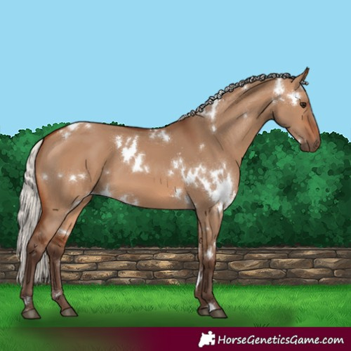 Horse Color:White Spotted Silver Brown Dun 