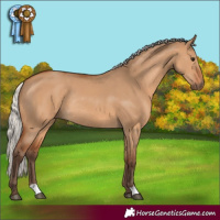 Horse Color:Silver Bay Dun Rabicano 