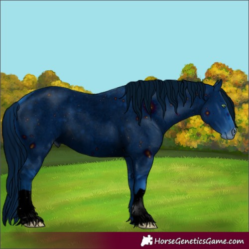 Horse Color:ERROR: UNKNOWN ANOMALY
