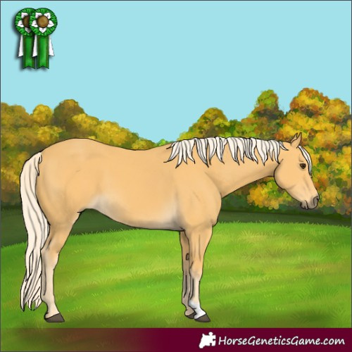 Horse Color:Palomino