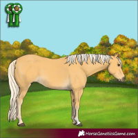 Horse Color:Palomino 
