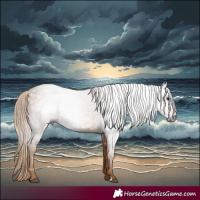 Horse Color:Gray Chestnut 