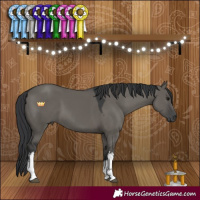 Horse Color:White Spotted Grullo