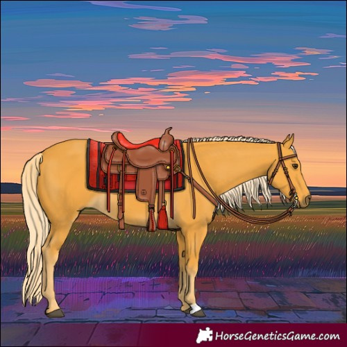 Horse Color:Palomino 