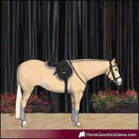 Horse Color:Palomino 