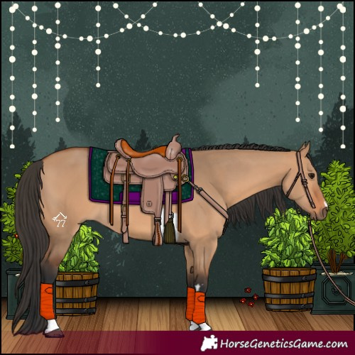 Horse Color:Bay Dun Tobiano 