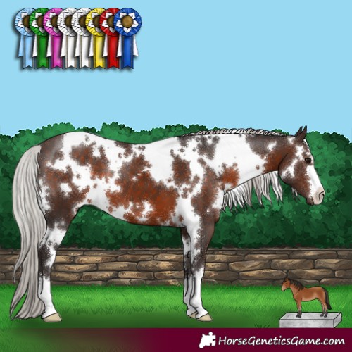 Horse Color:White Spotted Silver Brown 