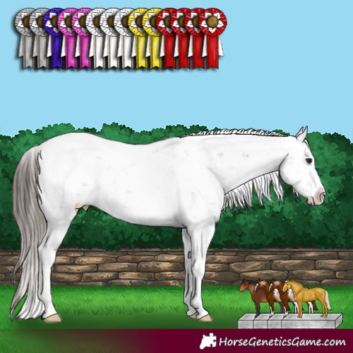 Horse Color:Classic Champagne Sabino Rabicano 