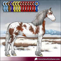 Horse Color:White Spotted Silver Brown Sabino 