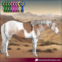 Horse Color:Silver Brown Dun Sabino Tobiano 