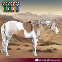 Horse Color:Silver Brown Dun Sabino Tobiano