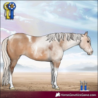 Horse Color:Silver Bay Dun Sabino Tobiano
