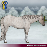 Horse Color:Silver Grullo Roan Tobiano 