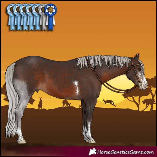 Horse Color:Silver Brown Sabino Tobiano 