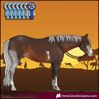 Horse Color:Silver Brown Sabino Tobiano 