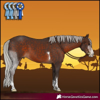 Horse Color:Silver Brown Sabino Tobiano