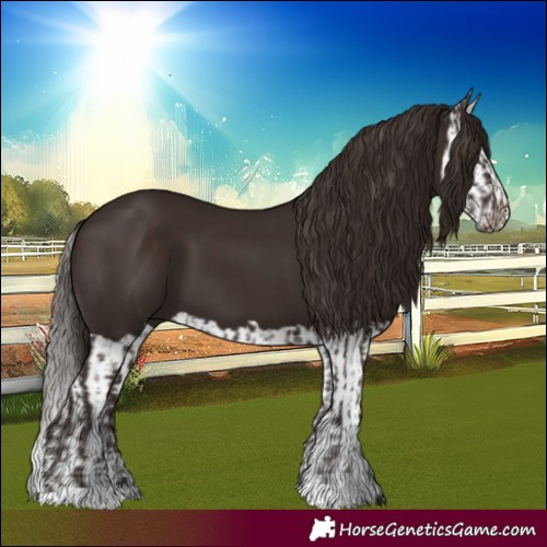 Horse Color:Liver Chestnut  and Liver Chestnut Splash 