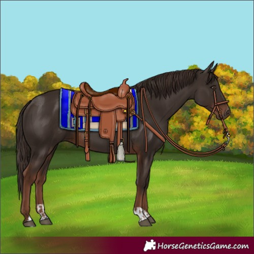 Horse Color:Liver Chestnut  and Liver Chestnut 