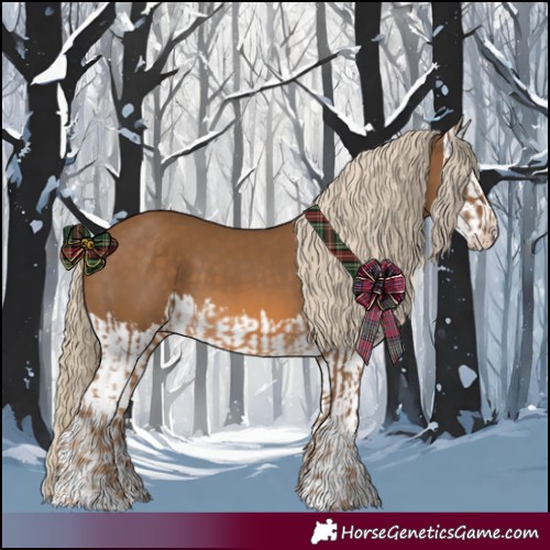 Horse Color:Chocolate Palomino and Chocolate Palomino Splash