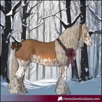 Horse Color:Chocolate Palomino and Chocolate Palomino Splash