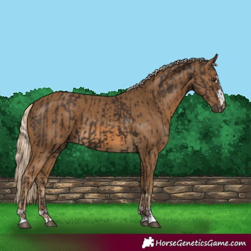 Horse Color:Liver Chestnut and Chocolate Palomino