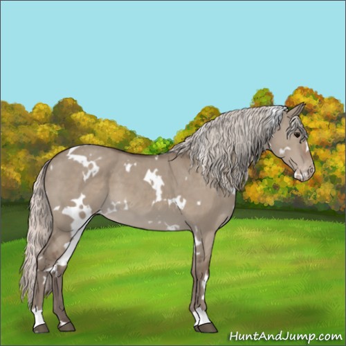 Horse Color:White Spotted Silver Grullo Varnish 