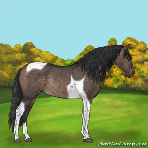 Horse Color:Brown Dun Tobiano Rabicano 