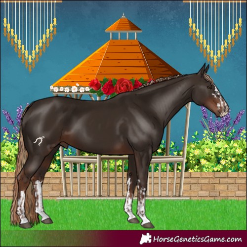 Horse Color:Liver Chestnut  and Liver Chestnut 