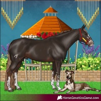 Horse Color:Liver Chestnut  and Liver Chestnut 