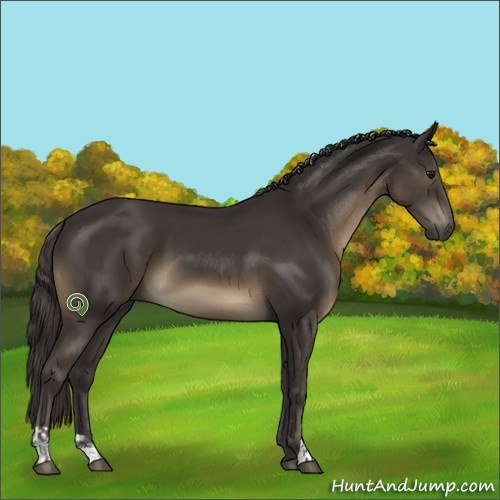 Horse Color:Smoky Black and Smoky Black