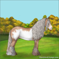 Horse Color:Silver Sable Champagne Frame 