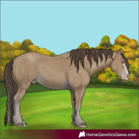 Horse Color:Classic Cream Champagne  and Classic Cream Champagne Splash 