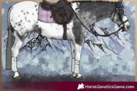 Horse Color:White Spotted Black Splash Tobiano Frame Appaloosa