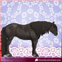 Horse Color:Liver Chestnut  and Liver Chestnut 