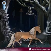 Horse Color:Chocolate Palomino and Chocolate Palomino