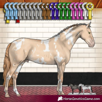 Horse Color:White Spotted Gold Champagne Dun 